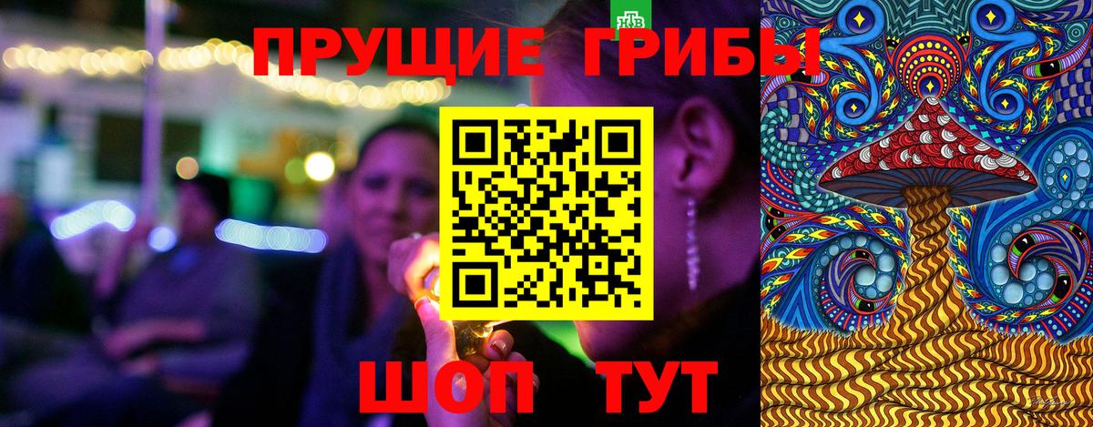 Псилоцибиновые грибы GOLDEN TEACHER  Галлюциногенные грибы прущие грибы  Вход с VPN  купить наркотики сайты  Саров 